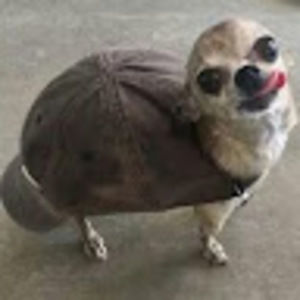 Meet your Posher, Jack